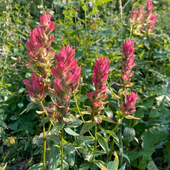 Not like other girls. - Picture 6 of 7